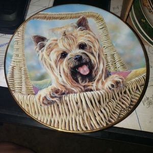 Carry me home by Doyle Plate